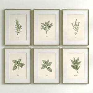 May include: Six framed botanical prints featuring detailed illustrations of herbs, including rosemary, sage, thyme, basil, mint, and bay leaves. The prints have a neutral background and are framed in gold-colored frames, creating a cohesive wall art set.