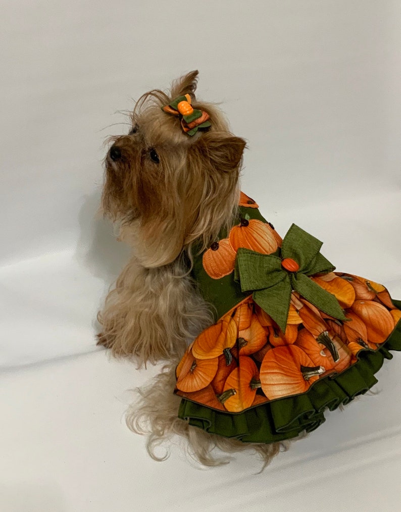 Olive Green Pumpkin Dress