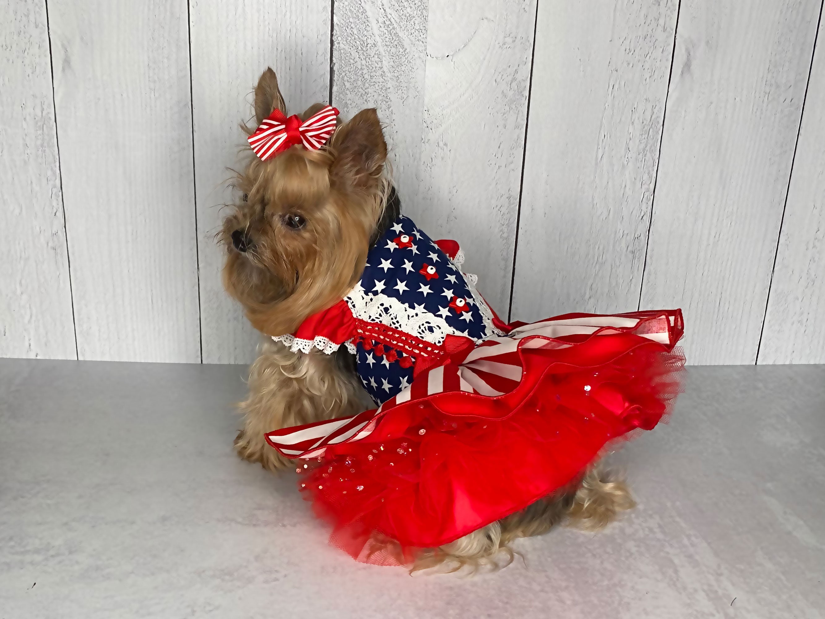 Patriotic Pup Red White and Blue 4th of July Dog Dress With Stars and Stripes Custom From Barkley Couture Etsy