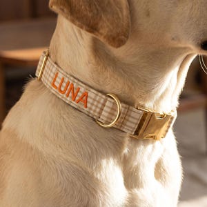 May include: A tan and white plaid dog collar with the name "LUNA" embroidered in orange. The collar has gold-colored metal hardware, including a buckle and a D-ring. The dog's fur is light tan.