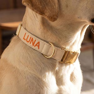 Op de afbeelding: Een crèmekleurige hondenhalsband met de naam "LUNA" in oranje geborduurd. De halsband heeft goudkleurige hardware, waaronder een gesp en een D-ring. De hond is licht goudkleurig en de achtergrond is wazig.