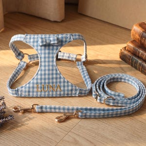 May include: A light blue and white gingham dog harness, lead, and matching lead. The harness has the name "LUNA" embroidered in gold thread. The set includes gold-coloured metal hardware and a bow detail on the harness.