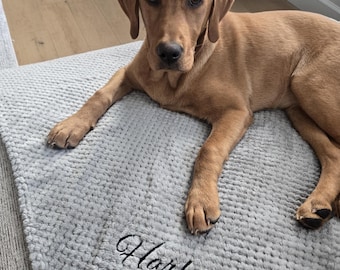 May include: A light brown dog with floppy ears resting on a textured light grey blanket. The blanket features the embroidered name Harley in black cursive script, accompanied by a small black paw print icon positioned directly below the name.