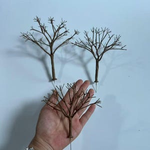 Può includere: Tre alberi marroni artificiali con rami sottili sono mostrati su uno sfondo bianco. Un albero è tenuto in mano. Gli alberi hanno un aspetto naturale, simile a ramoscelli, adatti per progetti di artigianato o esposizioni decorative.