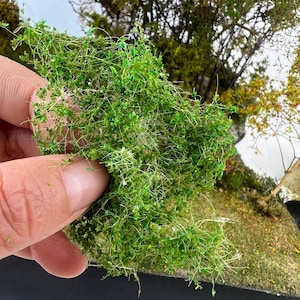 May include: A handful of bright green model foliage, resembling miniature grass or shrubbery, is held up against a backdrop of a miniature landscape. The foliage has a textured appearance with fine, thread-like strands and small, clustered leaves, perfect for model scenery.