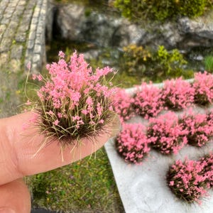 Peut inclure: Petits buissons miniatures à fleurs roses avec des accents bruns et verts. Plusieurs de ces petites plantes détaillées sont disposées sur une surface, dont une tenue entre les doigts. Pour maquettes ou travaux manuels.