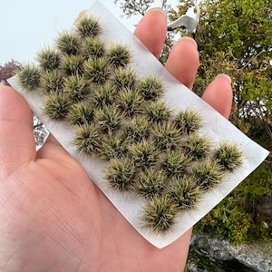 May include: A collection of small, tufted grass clumps in shades of green and tan, arranged on a white surface. These miniature grass tufts are likely used for model scenery or crafting projects, adding a realistic touch to miniature landscapes.