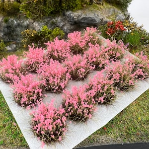 May include: Miniature model landscaping featuring several clumps of pink flowering plants. The plants have a dense, textured appearance with a mix of pink blooms and green foliage. The plants are arranged on a white surface, with a backdrop of rocks and greenery.