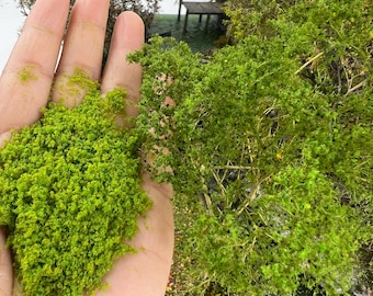 Miniature Landscape Foliage Set, Terrain Powder, Dollhouse Scenery