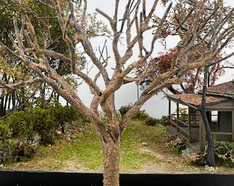 DIY Model Tree — Approx. 16 cm Tall, Bendable Branches