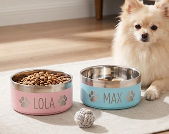 Ciotola personalizzata per animali domestici, in acciaio inossidabile, per cani e gatti.