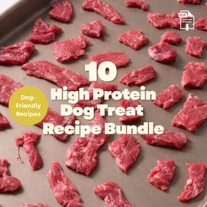 Op de afbeelding: Rauwe, rode stukken vlees op een bakplaat. De tekst luidt "10 High Protein Dog Treat Recipe Bundle" en "Dog-Friendly Recipes".