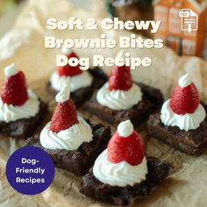 Recept voor zachte, taaie hondenbrownies – kleine batch hondensnoepjes – afdrukbare pdf – gemakkelijke zelfgemaakte hondensnacks
