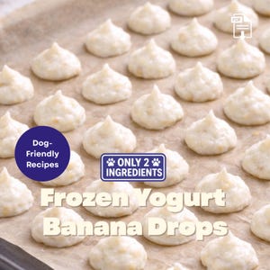 Könnte beinhalten: Nahaufnahme von gefrorenen Joghurt-Bananen-Tropfen auf Backpapier. Die Tropfen sind weiß mit einem hellgelben Farbton, in Reihen angeordnet. Der Text auf dem Bild lautet "Dog-Friendly Recipes" und "ONLY 2 INGREDIENTS".