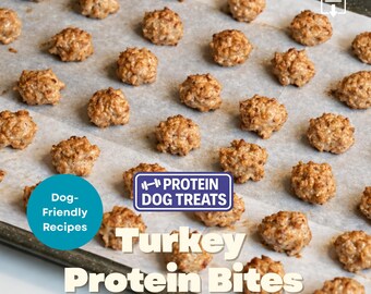High Protein Dog Treat Recipe – Turkey Protein Bites – Printable PDF