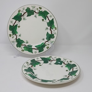 Napoleon Ivy China - Etsy