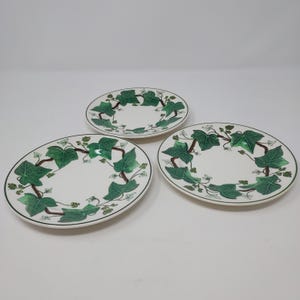 Wedgwood Napoleon Ivy Dinner Plate - Etsy