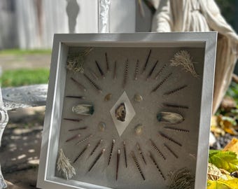 One-of-a-kind Shell Collage
