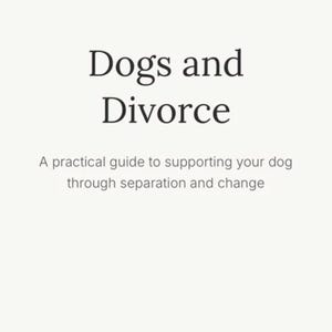 May include: A book cover with the title "Dogs and Divorce" in a bold, serif font. Below, the text reads, "A practical guide to supporting your dog through separation and change."
