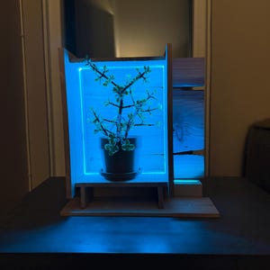 May include: A wooden plant stand with a built-in blue LED light frame. A potted plant with green leaves sits inside the frame. The stand is on a dark surface, and the background is dimly lit.