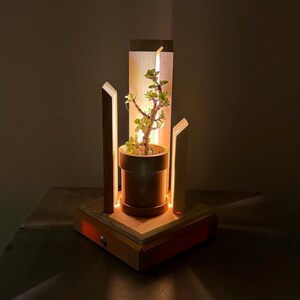 May include: A wooden table lamp with a small potted plant inside. The lamp has a rectangular base and a tall, vertical light fixture. The plant is green with small leaves. The lamp is lit with warm, soft light.