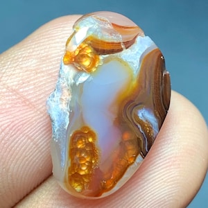 May include: A polished oval gemstone featuring a translucent milky white center surrounded by vibrant orange and deep brown banded layers. The stone displays a unique botryoidal texture with glowing amber-colored inclusions and smooth edges.
