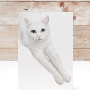 Carte de voeux chat blanc – 4 x 6 pouces carte de correspondance, impression d'art chat aquarelle à encadrer