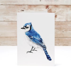 Blue Jay Greeting Card, Blank on the Inside Garden Note Cards, Bundle Deal Set Available - Watercolor Artwork by Crystal Ho