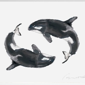 Whale Watercolor Painting - Orca Killer Marine Animal Art Print, Beach Wall Decor, Sea Life, Monochrome, Nautical Poster, Anniversary