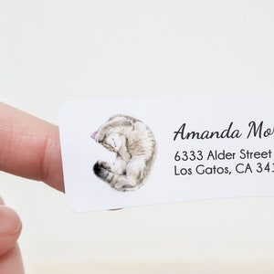 Etiqueta personalizada de la dirección de devolución del gato, 120 piezas, gato británico de pelo corto, pegatinas de envío personalizadas, señora del gato loco, idea de regalo de mamá gato