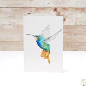 Kolibriekaart, vogelaquarelschilderij, modern en levendig, tuinnotitiekaarten, bundeldealset beschikbaar - artwork van Crystal Ho