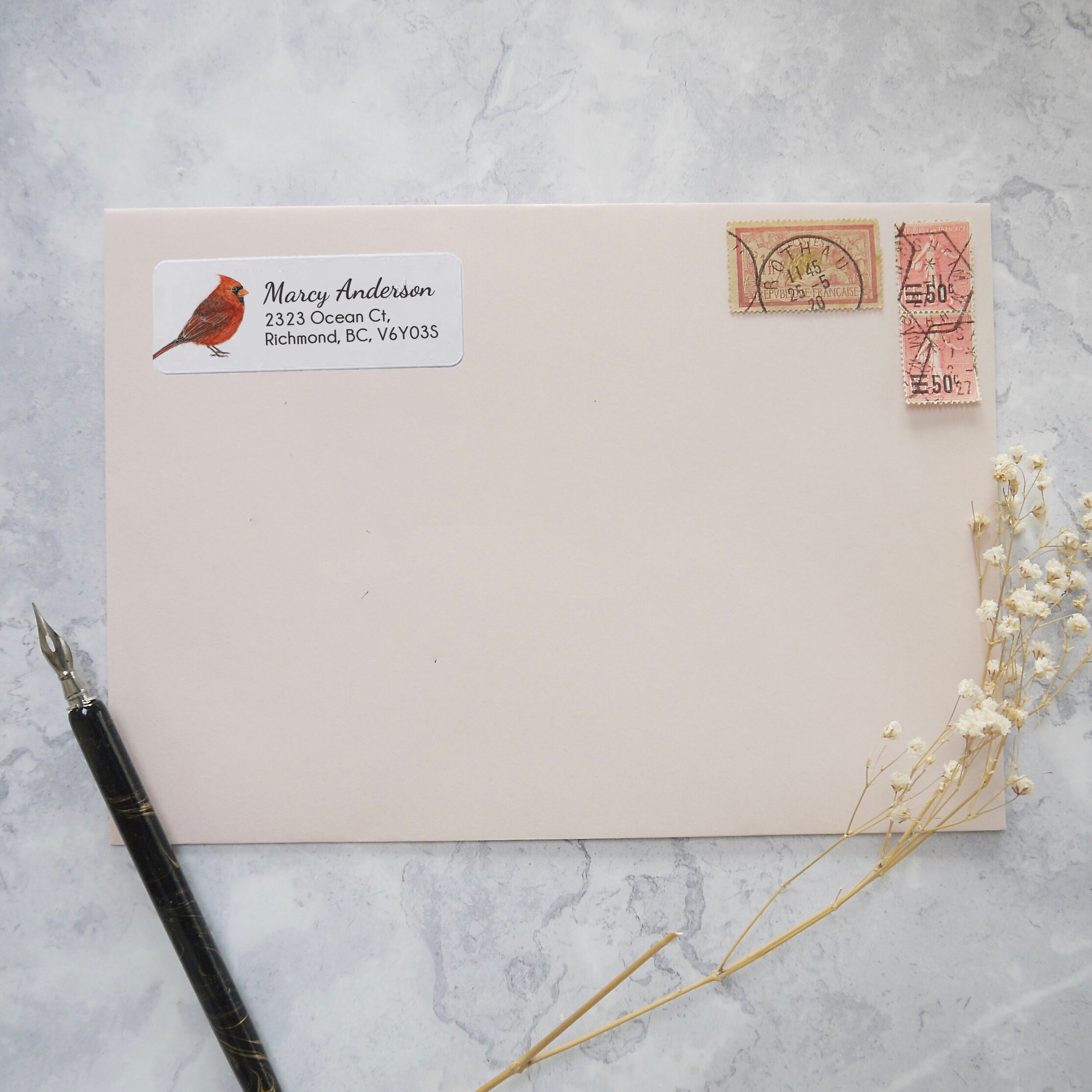 Red Cardinal Bird Personalized Return Address Label, Set of 120 ...
