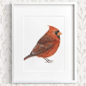 Red Cardinal Watercolor Painting, Small Bird Art Print, Home Office Nature Wall Decor, Spring Garden Illustration