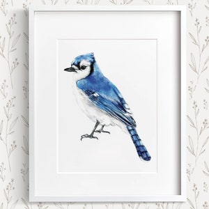 Blue Jay Bird Print, Spring Wildlife Watercolor Painting, Home Office Nature Garden Inspired Scandinavian Wall Decor, Sign by Artist