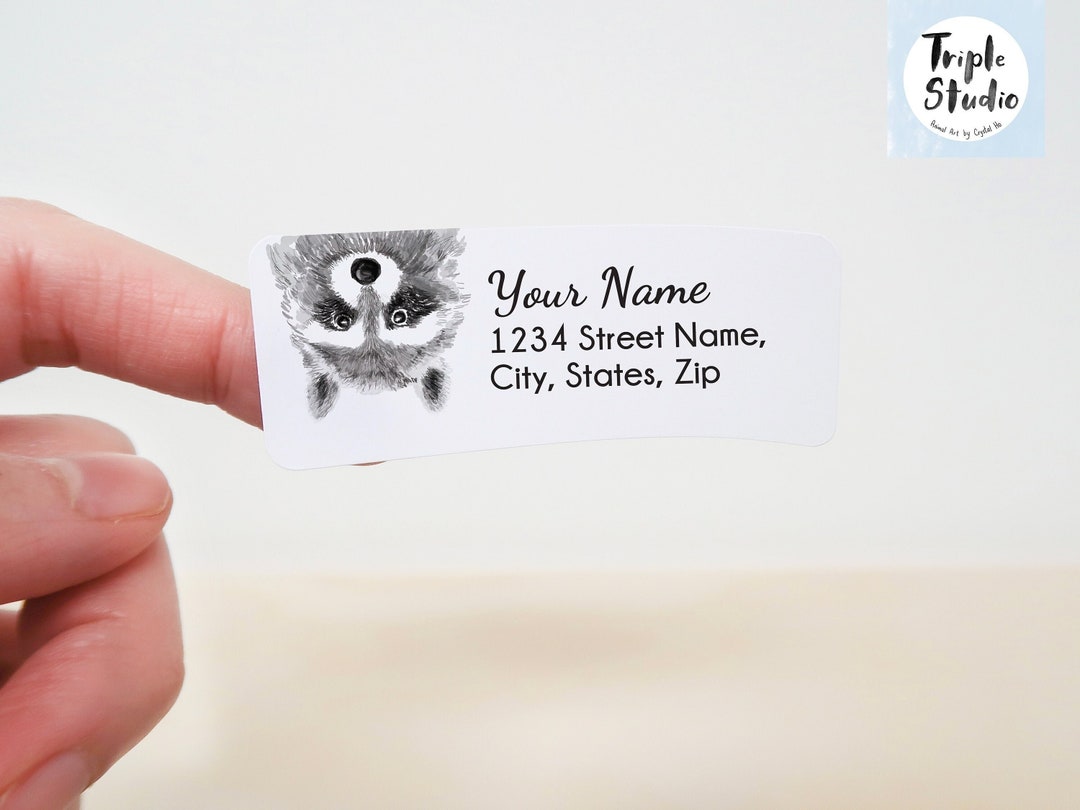 Mischievous Raccoon Return Address Labels, Personalized 120 Stickers ...