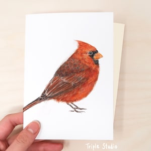 Rote Kardinalvogelkarte, innen leer, Garten-Grußkarten, Bundle-Deal-Set verfügbar - Aquarellkunst von Crystal Ho