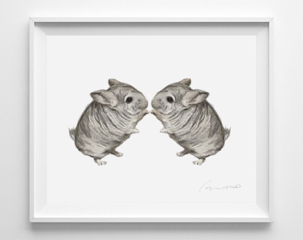 Chinchilla Twins Art Print Newborn Unisex Baby Nursery Room Etsy Chinchilla Twins Art Print Newborn Unisex Baby Nursery Room Etsy