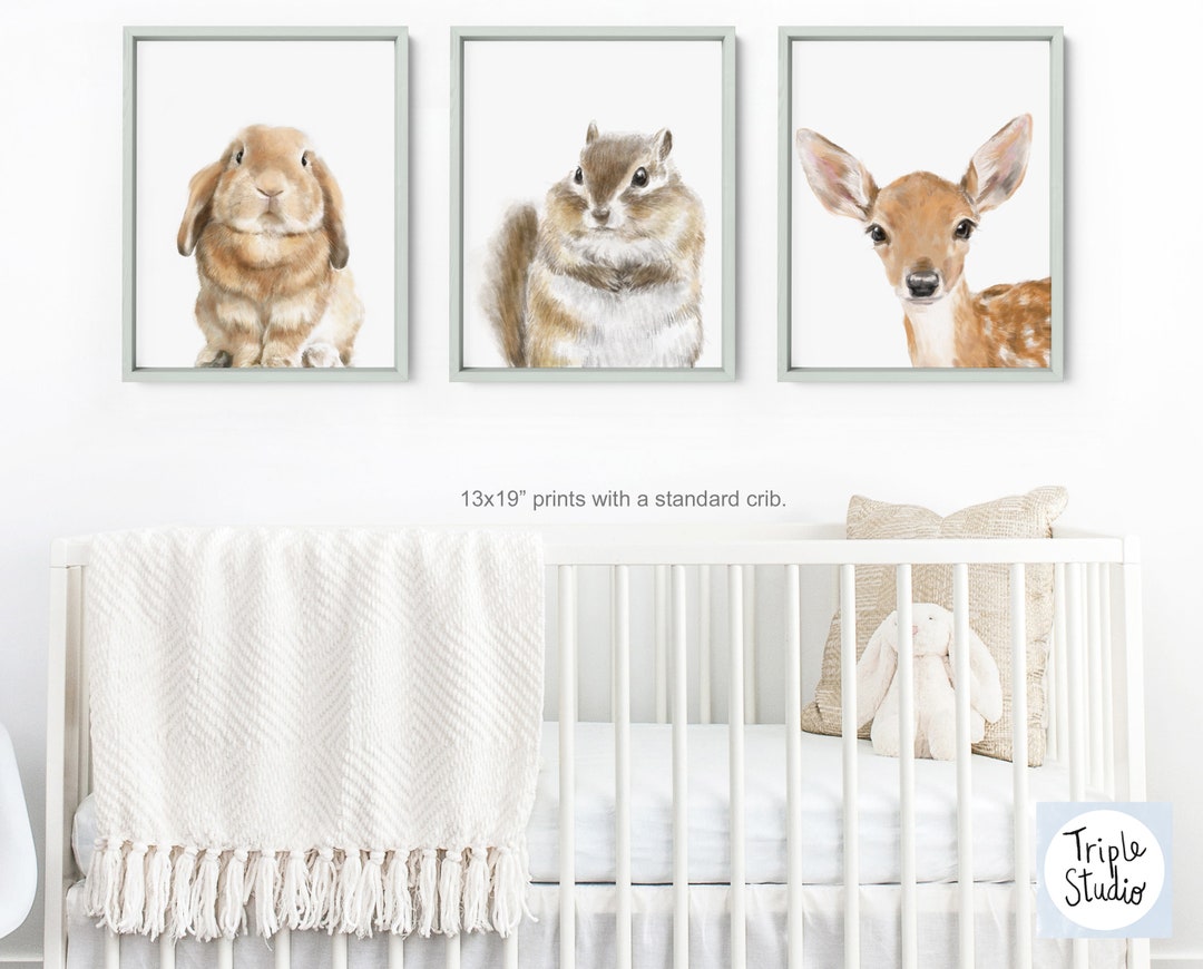 Mix and Match Choose Any 3 Animal Art Prints Fawn Deer - Etsy