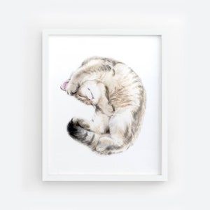 Cuddly Tabby Cat Watercolor Painting, Home Wall Decor, Art Print, Crazy Cat Lady, Cat Lover Gift, Minimal, British Shorthair for Cat Mom