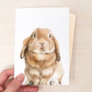 Have a Bunderful Day -  Hoppy Rabbit Stationery Card for  Any Occasion Birthdays, Weddings, Get Well, New Home, Bunny Lovers