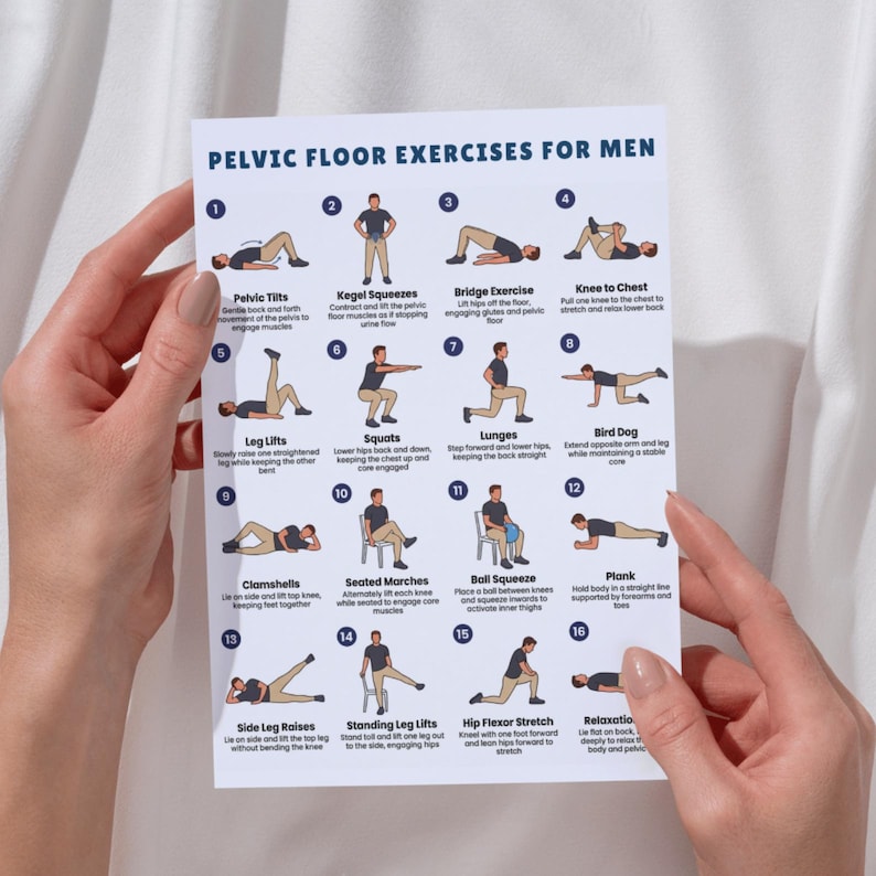 May include: A white poster with the title "PELVIC FLOOR EXERCISES FOR MEN" and illustrations of various exercises. The exercises include pelvic tilts, kegel squeezes, bridge exercise, knee to chest, leg lifts, squats, lunges, bird dog, clamshells, seated marches, ball squeeze, plank, side leg raises, standing leg lifts, hip flexor stretch, and relaxation.