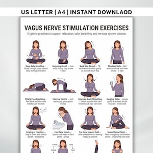Pode incluir: Um impresso branco com o título "Exercícios de Estimulação do Nervo Vago" e ilustrações de 16 práticas suaves para apoiar o relaxamento, a respiração calma e o equilíbrio do sistema nervoso. O texto inclui instruções para cada exercício.