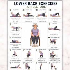 Könnte beinhalten: Ein digitales Poster mit dem Titel Lower Back Exercises for Seniors, das sechzehn nummerierte Illustrationen einer Person in einem violetten T-Shirt zeigt, die verschiedene Dehnübungen und Bewegungen wie Beckenkippen und Sitzdrehungen ausführt.
