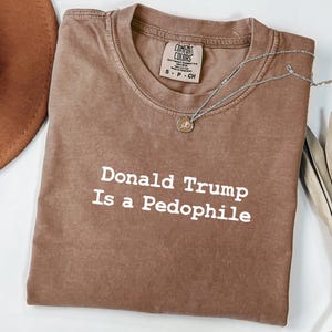 Camisetas de colores cómodos: Donald Trump es un pedófilo, Trump Epstein, anti Donald Trump, archivos de Epstein, anti Maga imagen 1