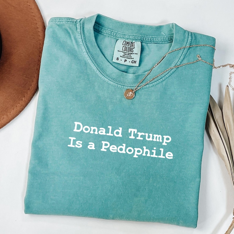 Camisetas de colores cómodos: Donald Trump es un pedófilo, Trump Epstein, anti Donald Trump, archivos de Epstein, anti Maga imagen 4