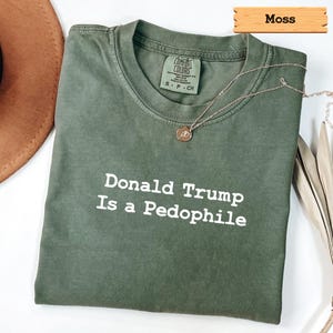 Camisetas de colores cómodos: Donald Trump es un pedófilo, Trump Epstein, anti Donald Trump, archivos de Epstein, anti Maga imagen 7