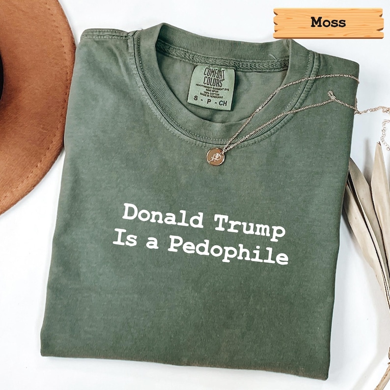 Camisetas de colores cómodos: Donald Trump es un pedófilo, Trump Epstein, anti Donald Trump, archivos de Epstein, anti Maga imagen 7