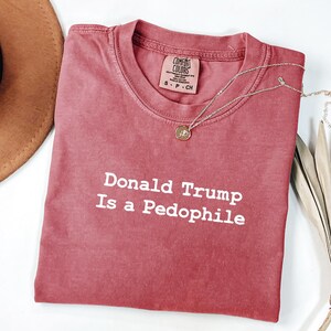 Camisetas de colores cómodos: Donald Trump es un pedófilo, Trump Epstein, anti Donald Trump, archivos de Epstein, anti Maga imagen 6