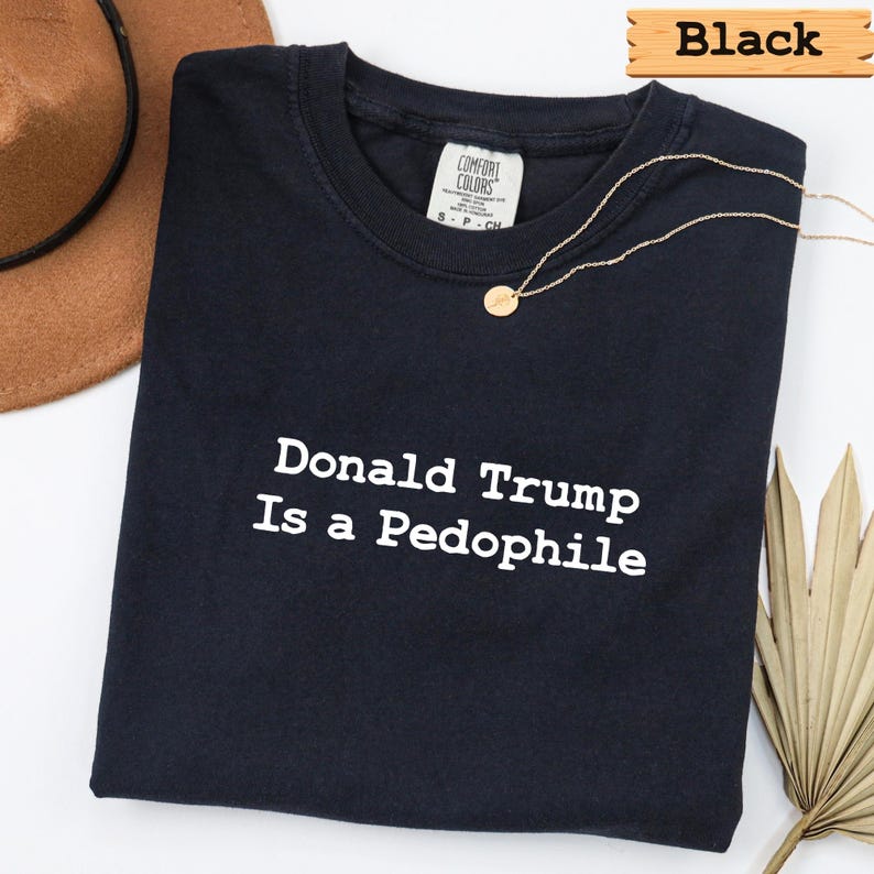 Camisetas de colores cómodos: Donald Trump es un pedófilo, Trump Epstein, anti Donald Trump, archivos de Epstein, anti Maga imagen 5