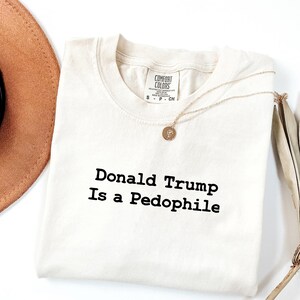 Camisetas de colores cómodos: Donald Trump es un pedófilo, Trump Epstein, anti Donald Trump, archivos de Epstein, anti Maga imagen 9